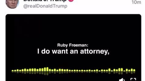 Ruby freeman Admissions from STOLEN 2020 election