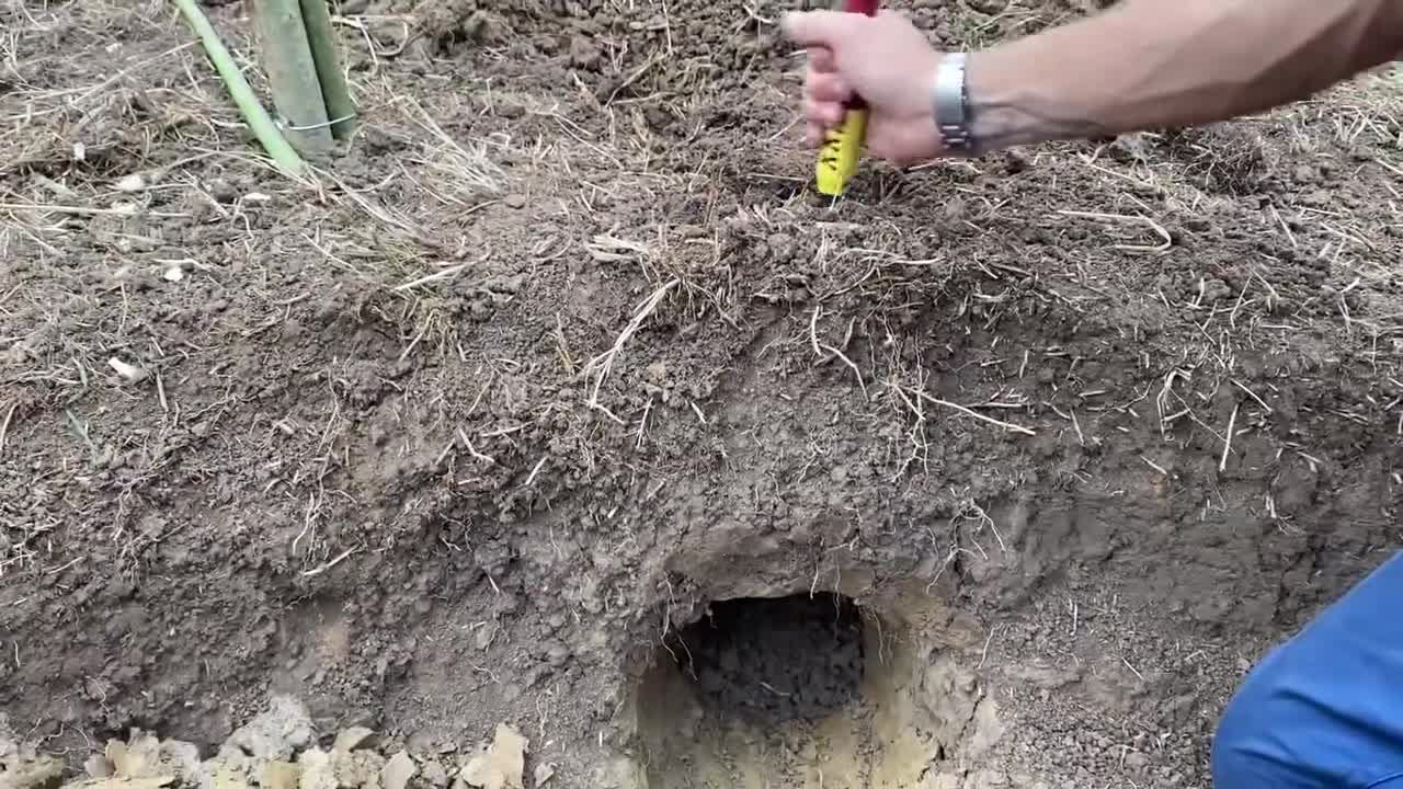 Building A Clay Bushcraft Survival Shelter