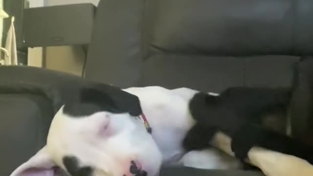 Sweet babies ❤️
