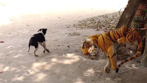 Very Funny Dog Prank using Fake Tiger!
