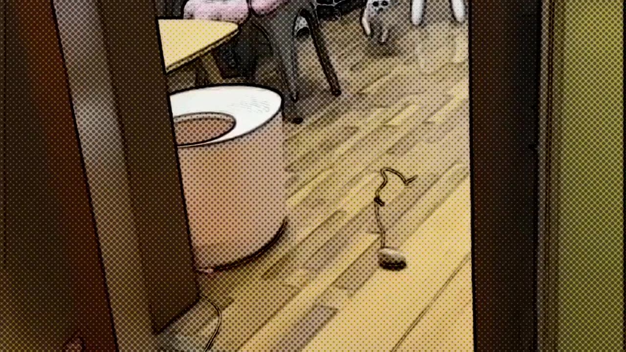 Funny animals - Funny cats / dogs - Funny animal videos 289