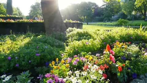 Beautiful natural scenery, healing scenery