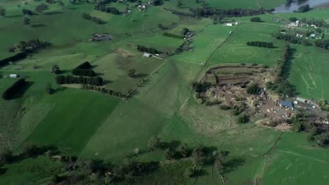 Planting a small forest in 24 hours (1440 trees)