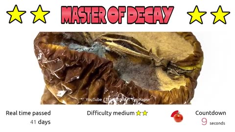 Timelapse Guessing Game - Guess The Fruit! - MOD Episode 06