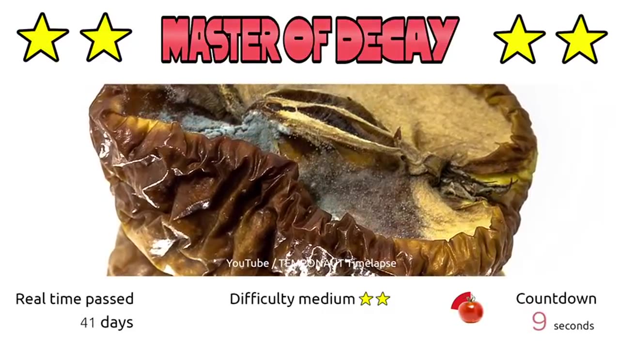 Timelapse Guessing Game - Guess The Fruit! - MOD Episode 06