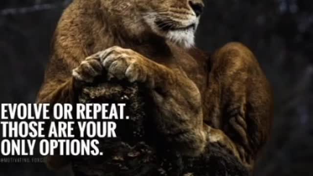 Evolve or Repeat - Motivational Video