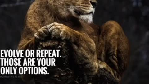 Evolve or Repeat - Motivational Video