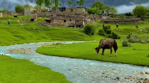 Beauty of Pakistan