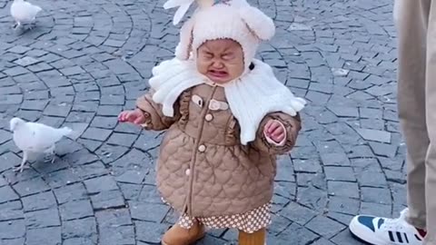 Baby cry for a pigeon