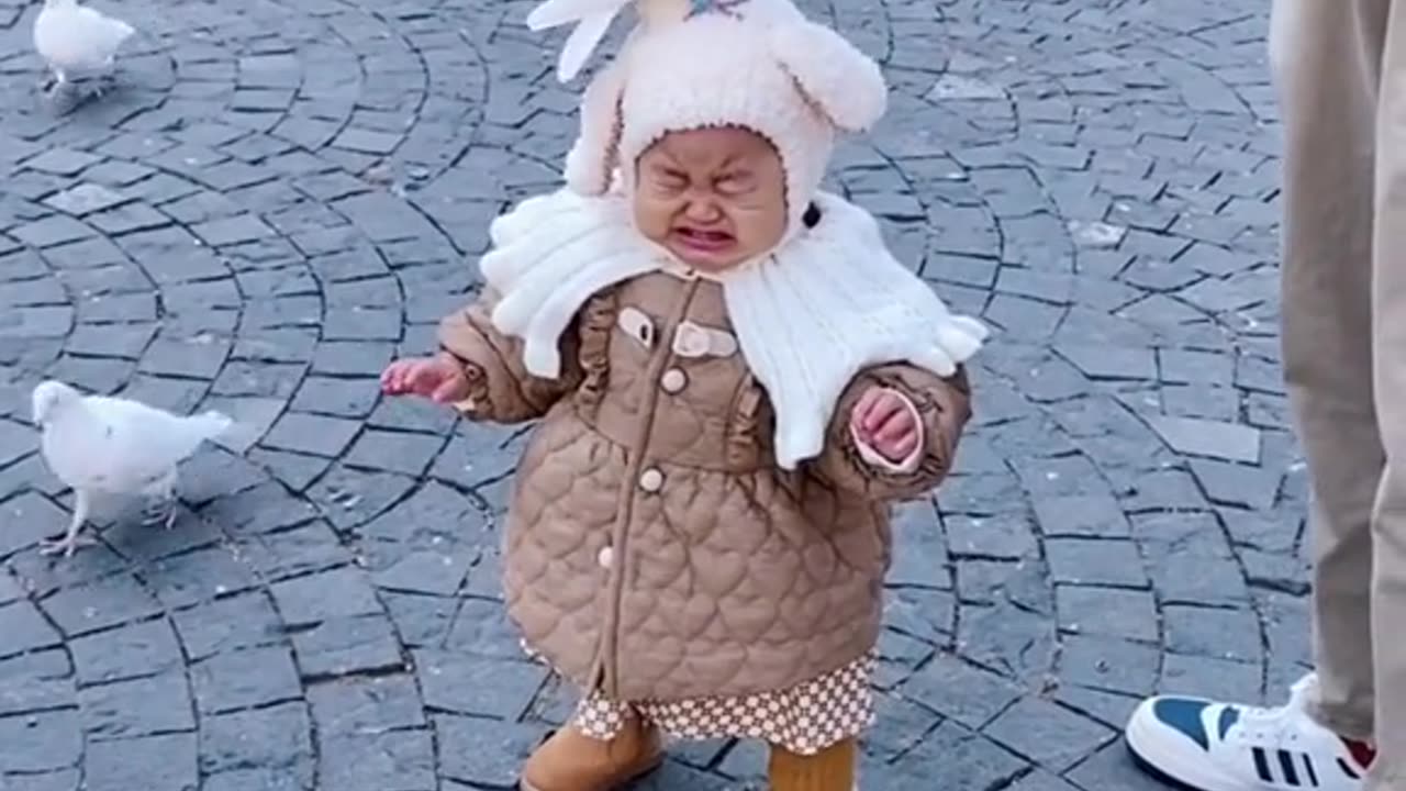 Baby cry for a pigeon