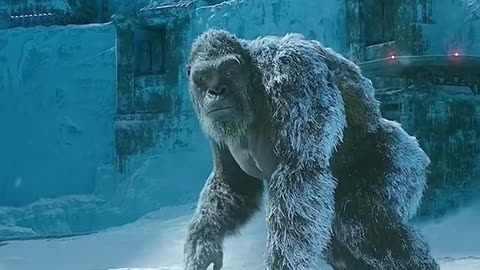 Godzilla vs Kong