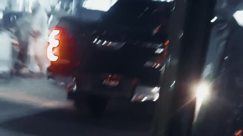Black German dog with black car