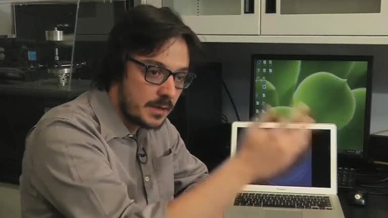 Study Links Leadership And Alcohol In Zebrafish