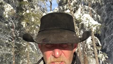 True Canadian Cowboy: The Canadian Parliament🤔
