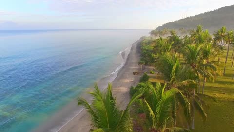 Feel the Breeze of an Ocean