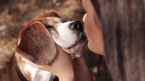 Girl walk about with beagle puppy in autumnal park