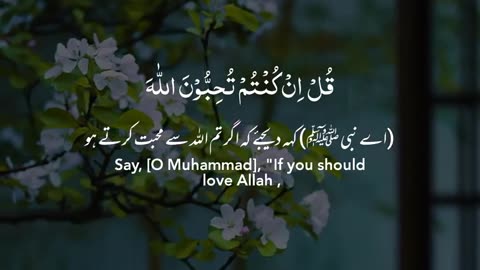 MashaAllah Quran Pak