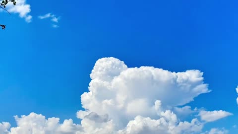 Cute Video Featuring the Many Faces of Clouds.From Dreamy to Dramatic