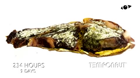 Pork Steak Time Lapse (4K)