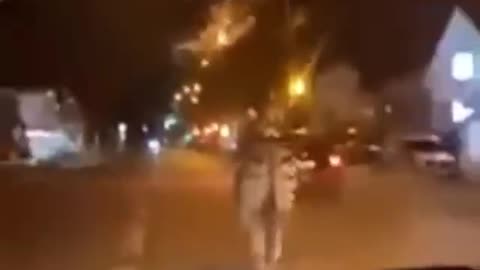 Zoo animals let loose by rioters in France.