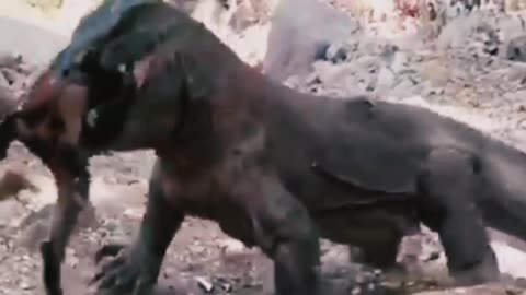 Danger animan eating got