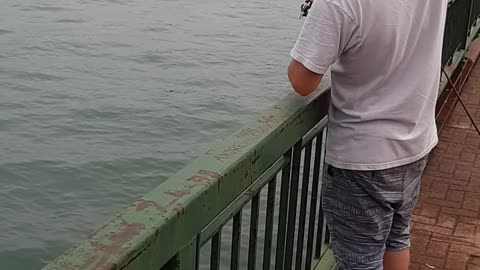 Reel her in