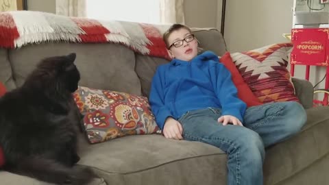 Try Not To Laugh Animals _ Funniest Cat Videos In The World _ Funny Animal Videos