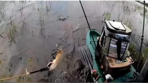 4#prscaria in the amazon you are nervous ? go fishing!