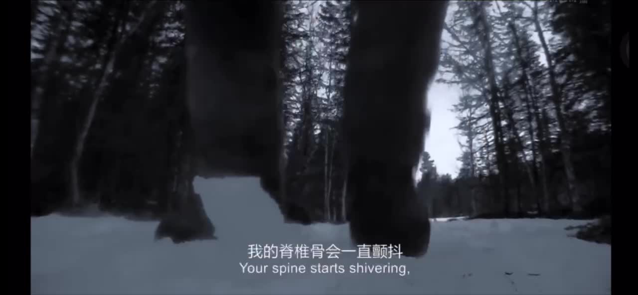 Being alone in the wilderness