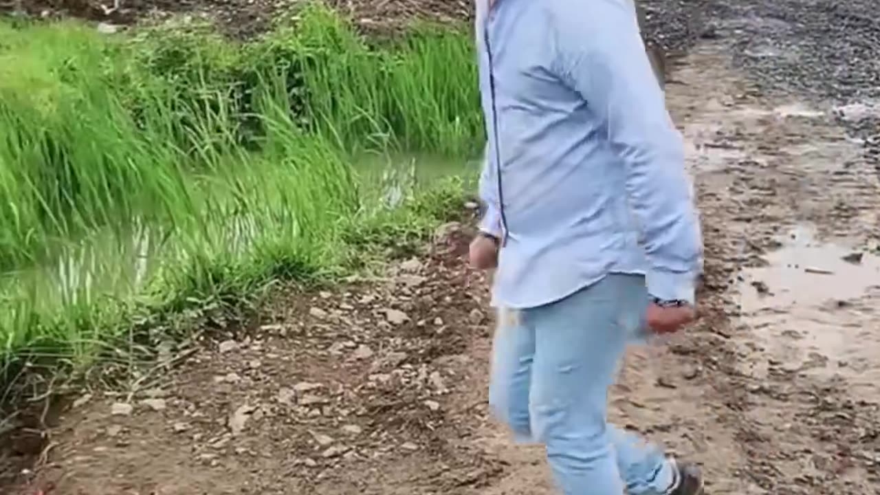 Funny videos 📷