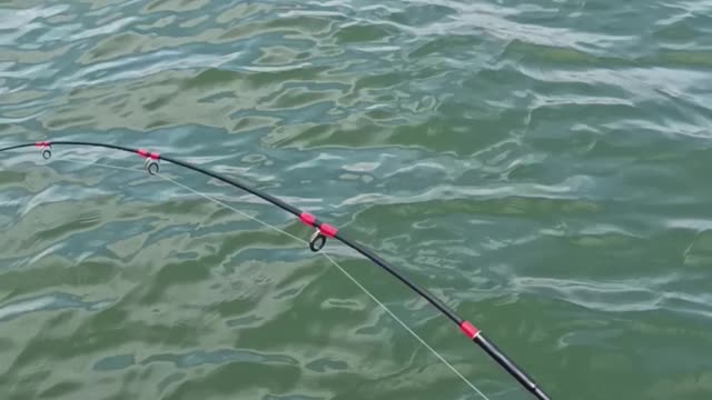 @NAGA GENI Mancing pinggiran sampe ga bisa di kasih naik ikan nya.