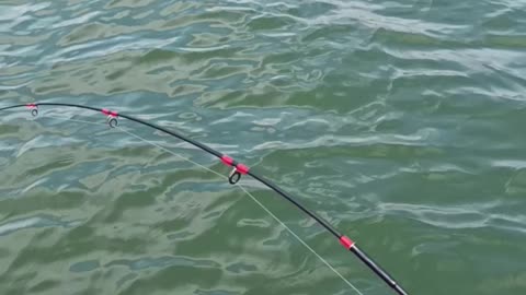 @NAGA GENI Mancing pinggiran sampe ga bisa di kasih naik ikan nya.