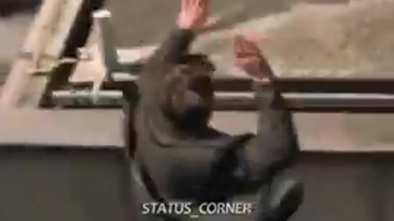 Tom Cruise badest scene ever