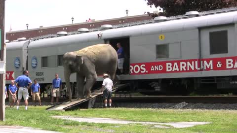 Ringling Brothers Circus Train and animal walk at Hershey