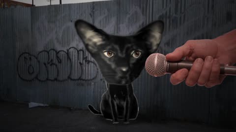 Graffiti Gato #4