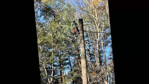 Technical Tree Service LLC - (603) 438-5956