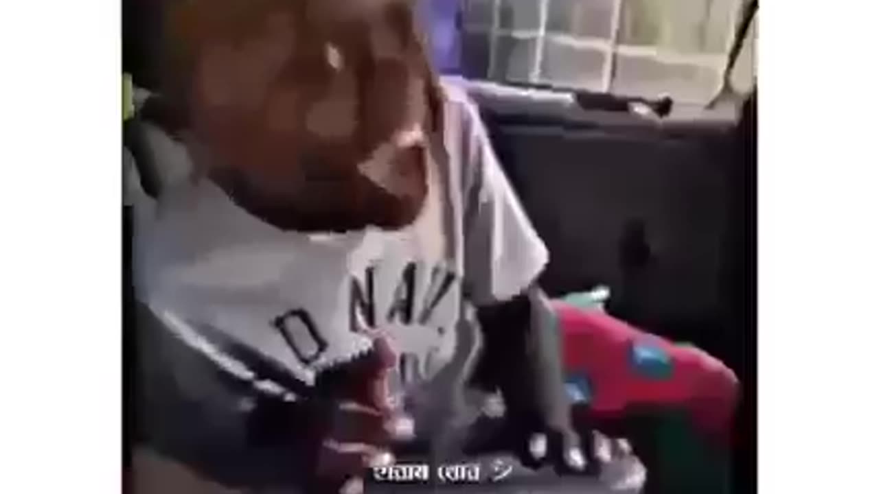 Funny video