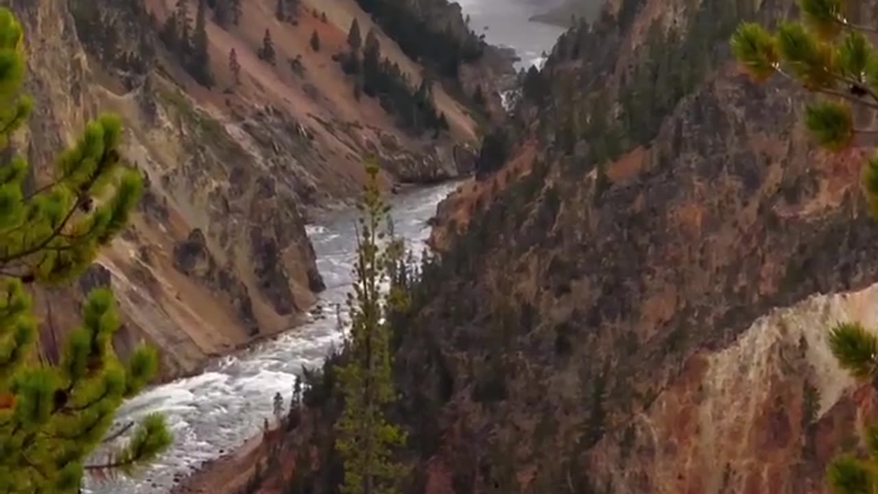 Grand Canyon in Yellowstone National Park, USA