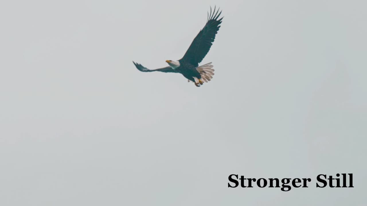Pray USA, 7/5/23 Stronger Still