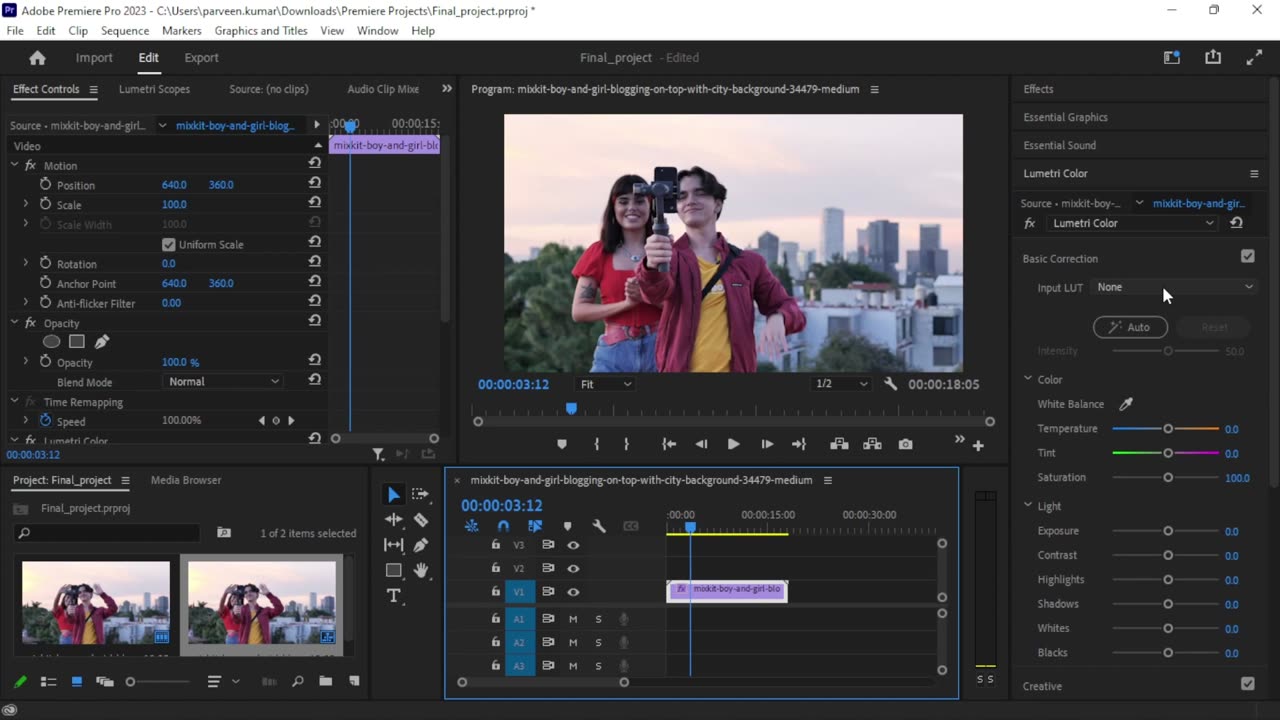 Adobe Premiere Pro – 4 LUTS for Premiere Pro