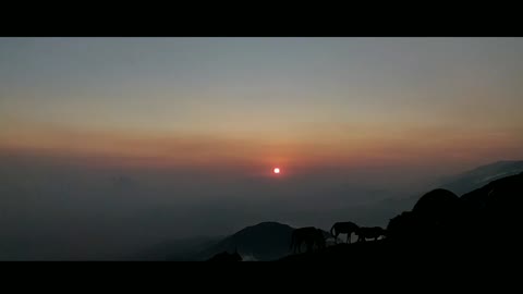 TREKKING TO TRIUND // HIMACHAL PRADESH FAMOUS TREK