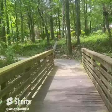 Trust your path #shorts