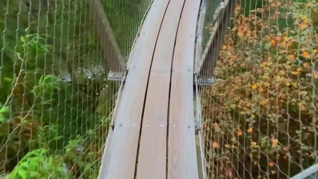 suspension bridge , Vancouver