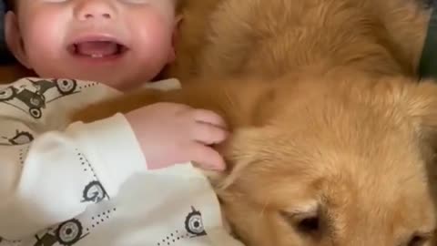 Baby and pupy time | Dog is love | Cute dog video |