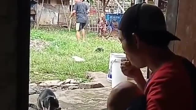 The latest funny video makes you laugh out loud fanny_video