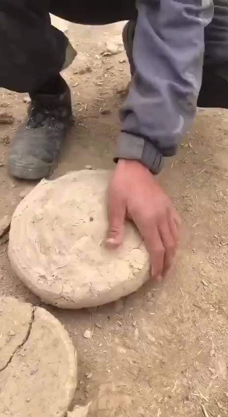 preserving of fruits Afghanistan