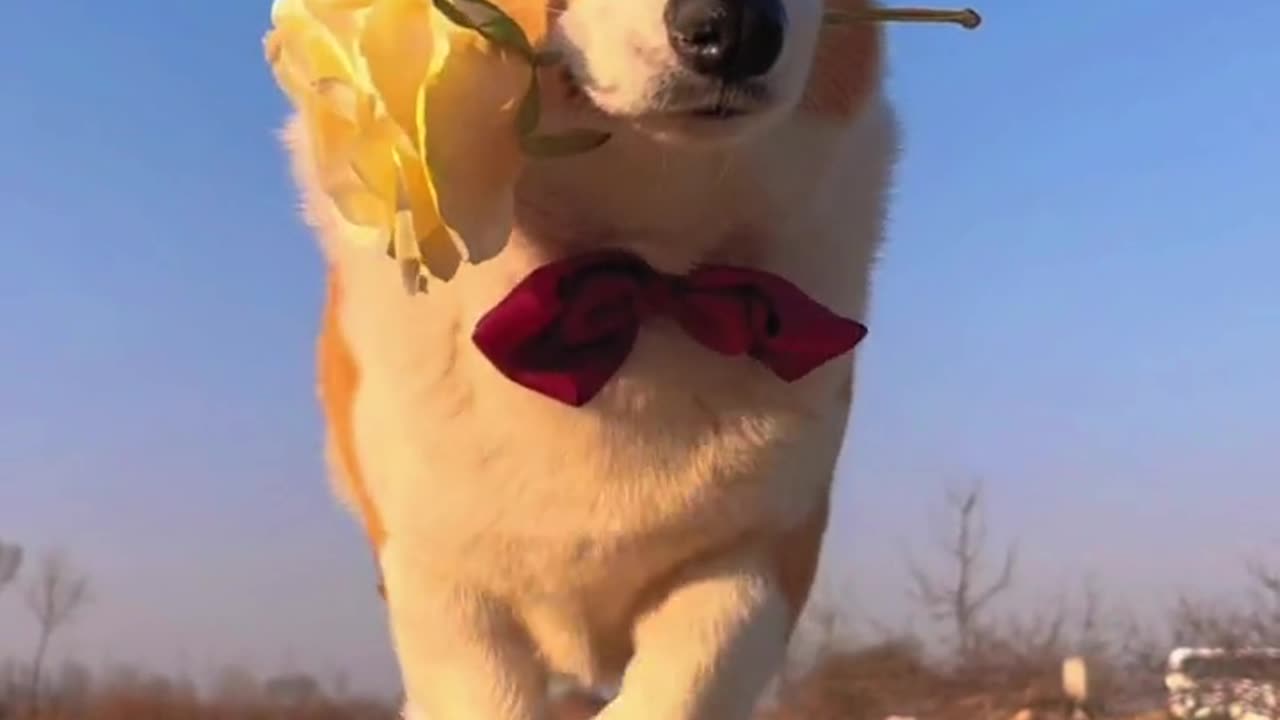 I’m going to meet my date