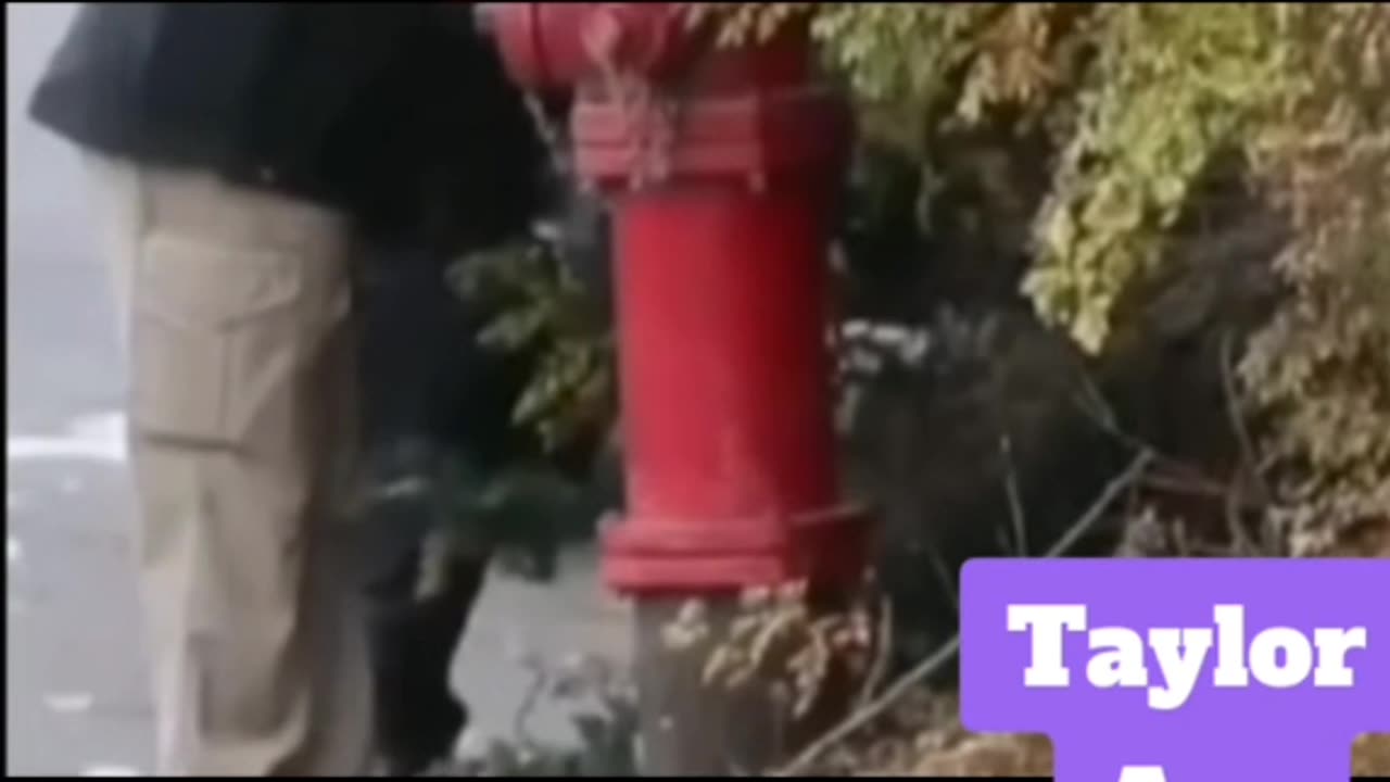 Idaho 4 true crime short video TikTok Maddie's coat Linda Lane Screams
