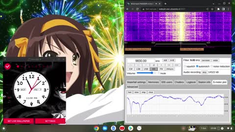 Voice Of Turkey 07/10/2022 2200 UTC 9830kHz