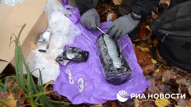 FSB thwarts Ukrainian terrorist who arrived from Kyiv via Estonia